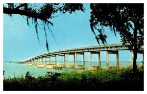 Postcard BRIDGE SCENE Santee South Carolina SC AS5840