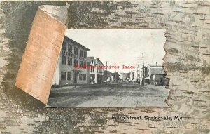 ME, Springvale, Maine, Main Street, Business Section, Birch Tree Bark Frame