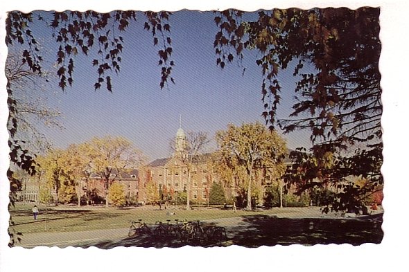 University of Maine, 1979, Orono, Maine,