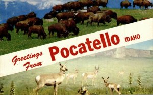 USA Greetings From Pocatello Idaho Vintage Postcard 08.45