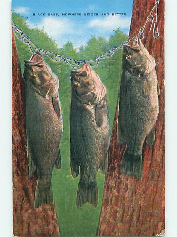 Unused Linen BLACK BASS FISH HANG - OCONTO WISCONSIN WI v2725