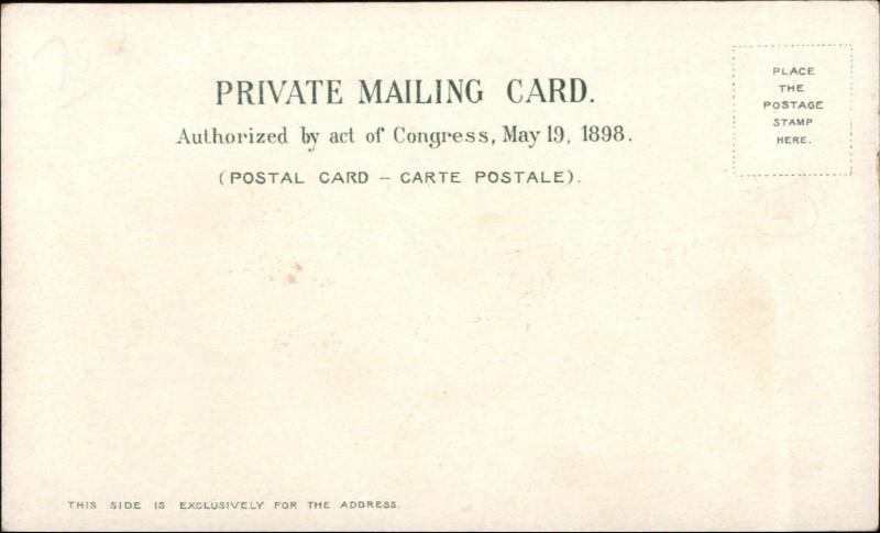 St. Louis MO Eads Mississippi River Ships c1900 Private Mailing Card