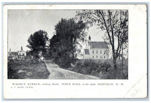 1907 Walnut Avenue Looking North Town Hall Danville New Hampshire NH Postcard