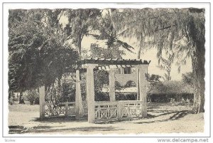 Jardin Des Filaos, Majunga, Madagascar, Africa, 1900-1910s