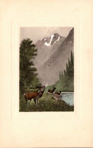 Mountain Scene With Elk