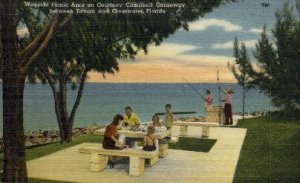 Wayside Picnic Area - Clearwater, Florida FL
