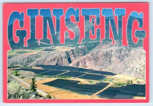 BRITISH COLUMBIA, Canada ~ New Cash Crop GINSENG Aerial View  4x6 Postcard