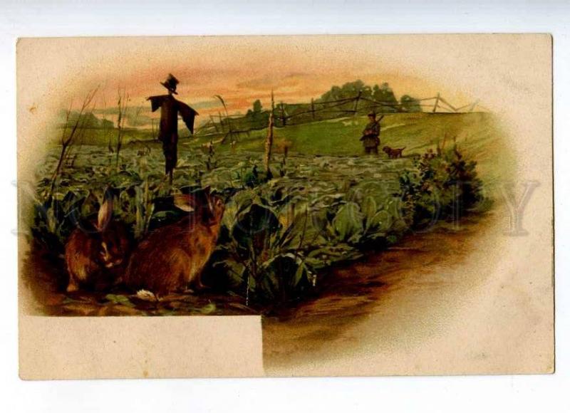 232097 HUNT dachshund HARES cabbage Vintage postcard