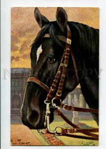 3105626 Head of HORSE by THOMAS vintage TUCK Publ. PC