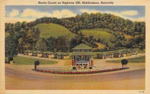 Harris Courts Motel Cumberland Gap Middlesboro Kentucy linen postcard