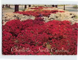 Postcard Charlotte, North Carolina