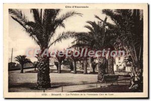 Old Postcard Dinard Les Palmiers De La Promenade Clair De Lune