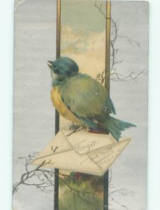 Divided-Back BIRDS SCENE Pretty Postcard AA9207