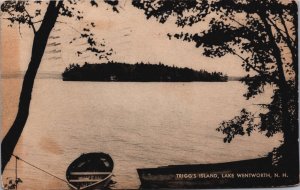 Triggs Island Lake Wentworth New Hampshire Vintage Postcard C108