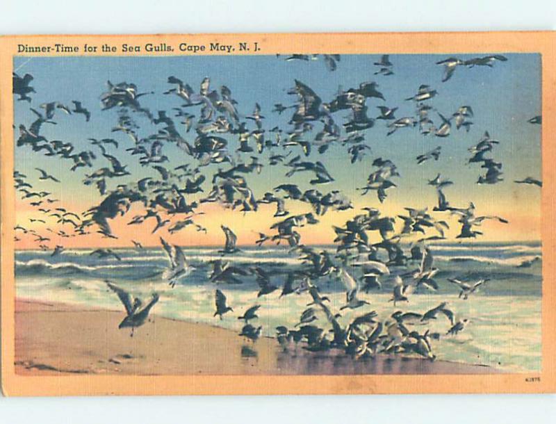 Linen SEAGULL BIRDS ON SHORELINE Cape May - Near Wildwood & Vineland NJ AD6783