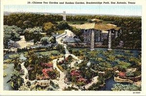 Postcard GARDEN SCENE San Antonio Texas TX AI0509