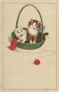 PC CATS, TWO CATS IN A BASKET, Vintage Postcard (b47101)