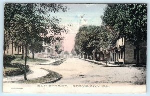 GROVE CITY, Pennsylvania PA ~ Handcolored ELM STREET Scene 1908   Postcard