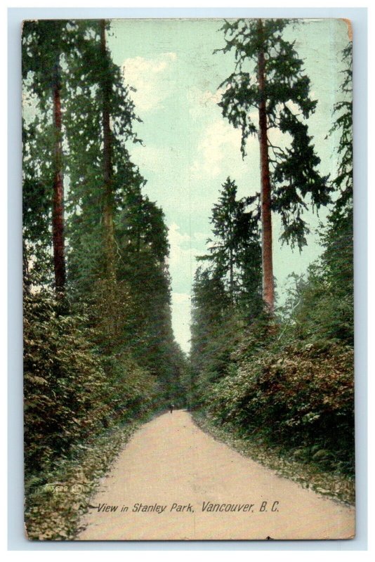 c1905  Road View In Stanley Park Vancouver B.C. Posted Antique Postcard