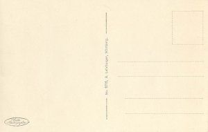 Germany Regensburg Dom photographic postcard