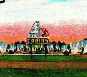 US Hwy 17 Blue Top Tourist Court Motel Savannah Georgia GA UNP Linen Postcard