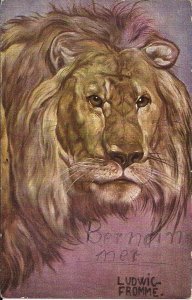 Lion Portrait, Artist Signed Ludwig Fromme 1918 Exotic African Animals