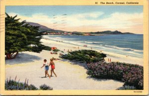 Carmel, California The Beach,Scenic Beach Front View,Pine/Oak Forested Slope-A32 