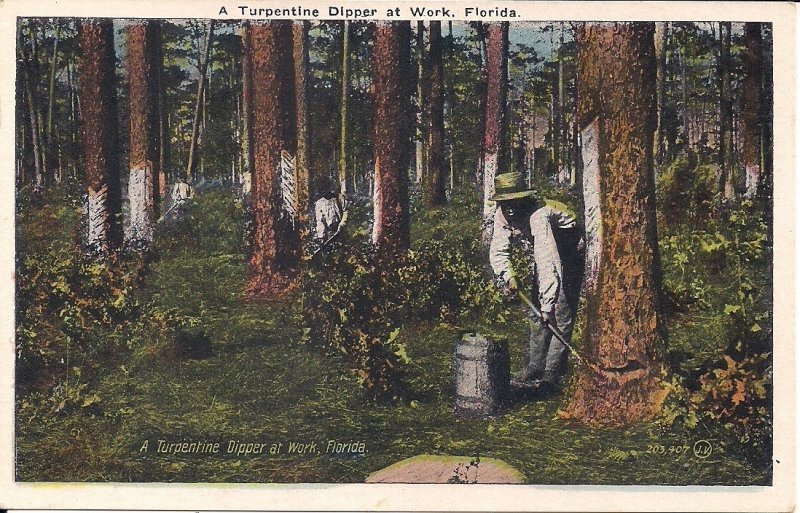 BLACK AMERICANA 1920 Turpentine Workers Florida FL African-American History