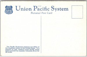 Portland Oregon OR, Forest Timber, Reached Via Union Pacific System, Postcard