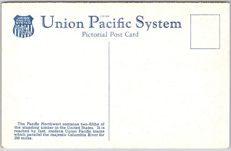 Portland Oregon OR, Forest Timber, Reached Via Union Pacific System, Postcard