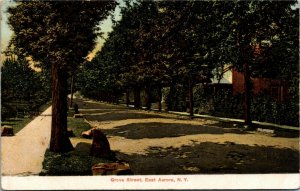 Postcard Erie County NY East Aurora Grove Street Litho-Chrome ~1907 K43