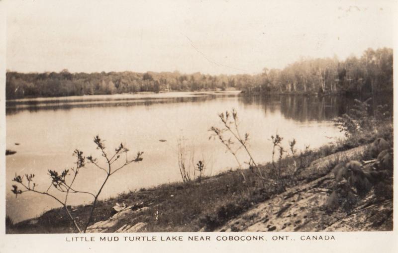 Turtle Lake Coboconk Ontario Canada Old Postcard