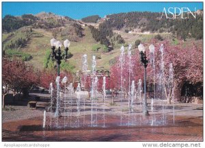 Colorado Aspen Spring at the Aspen Mall