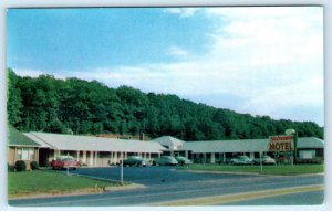 ALEXANDRIA, Virginia VA ~ Roadside STATESMAN MOTEL 1950s Cars  Postcard