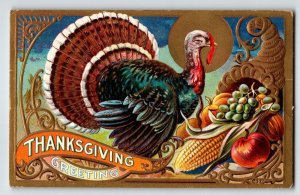 Thanksgiving Day Greetings Postcard Turkey Grapes Corn Apples Harvest Embossed