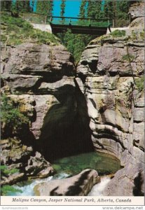 Canada Maligne Canyon Jasper National Park