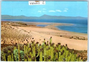 M-86940 The beach of Sotavento Fuerteventura Spain