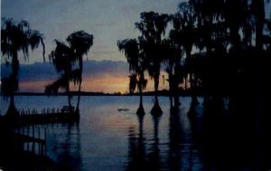 Silhouettes of Cypress Trees - Cypress Gardens, Florida FL  