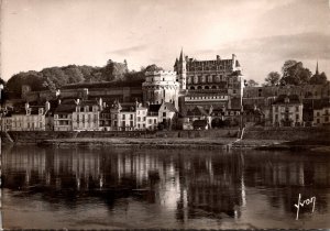 France Amboise Le Chateau et la Loire