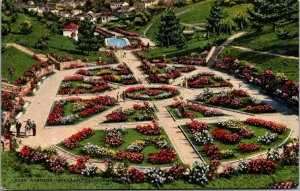 Linen Postcard Overview of Rose Gardens in Oakland, California