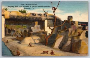 Animals~Sarasota Florida~Monkey Island @ Ringling Bros Winter Quarters~Postcard