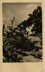 CPA Budapest- Margitsziget HUNGARY (835552)