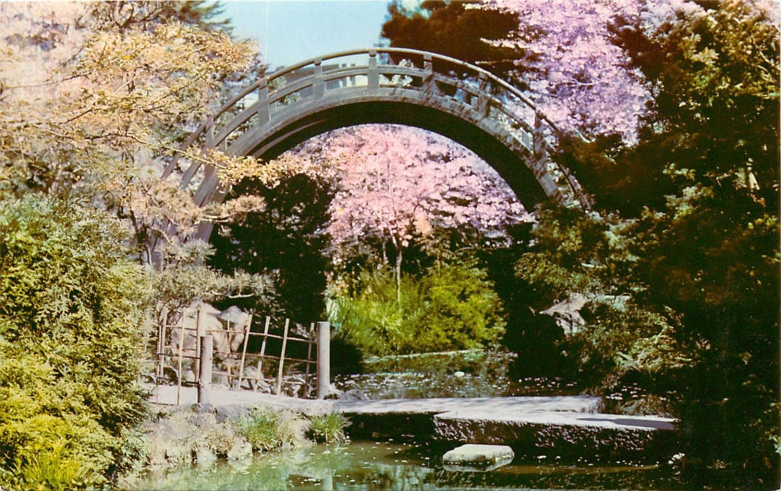 Japanese Tea Garden San Francisco California Ca Moon Bridge Golden Gate Postcard Hippostcard