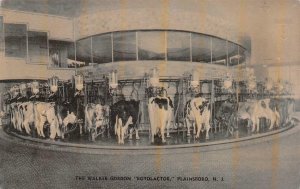 THE WALKER-GORDON ROTOLACTOR MILING COWS FARM MACHINERY NEW JERSEY POSTCARD