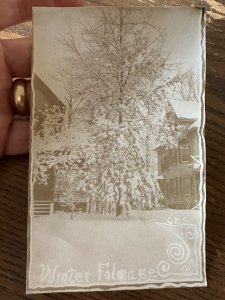 RPPC-EARLY Antique REAL PHOTO Postcard Snowy Tree