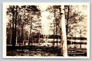 RPPC Wild Deer Running By Three Lakes in Wisconsin VTG Postcard 1474
