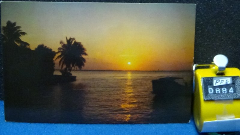 STD Vintage Florida Sunset Unposted