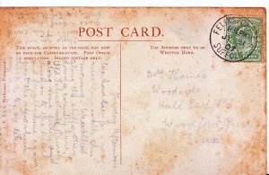 Genealogy Postcard - Family History - Haines? - Woodford Green - Essex   743A