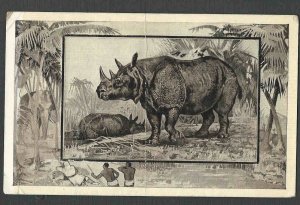 Ca 1909 PPC* FROM TEDDY ROOSEVELT AFRICAN EXHIBITION SERIES RHINO MINT SEE INFO