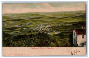 c1905 Bird's Eye View Of Stamford New York NY Unposted Antique Postcard 